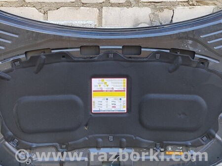 ФОТО Капот цвет для Fiat Tipo Киев