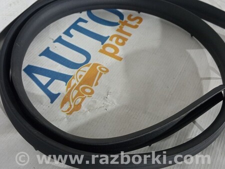 ФОТО Ущільнювач резинка дверей для Ford Tourneo Connect Киев