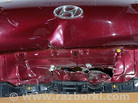 ФОТО Стекло заднее Крышка багажника для Hyundai Tucson Киев