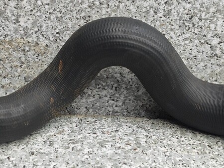 ФОТО Патрубок интеркулера для Nissan X-Trail Киев