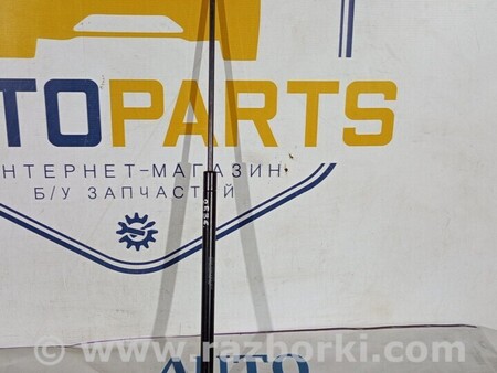 ФОТО Амортизатор ляди для Lancia Ypsilon Киев