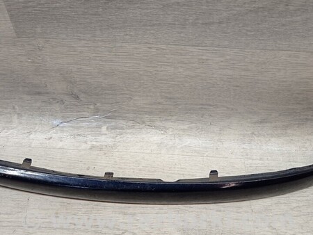 ФОТО Молдинг листва накладка переднього бампера лівий для BMW 1-Series (все года выпуска) Киев