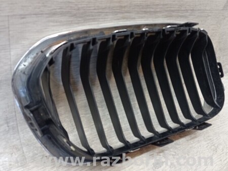 ФОТО Ноздря решітка радіатора ліва для BMW 1-Series (все года выпуска) Киев
