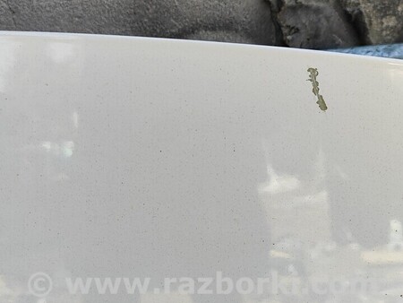 ФОТО Капот для KIA Carens 4 (2013-2019) Киев