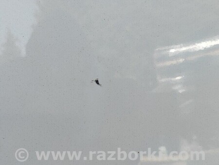 ФОТО Капот для KIA Carens 4 (2013-2019) Киев