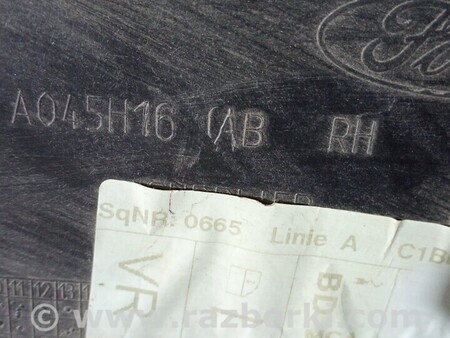 ФОТО Панель-щока двері передньої правої для Ford Fiesta Mk7 (2017-...) Киев