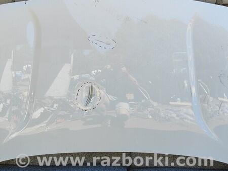 ФОТО Капот для KIA Niro DE (16-22) Киев