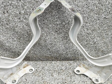 ФОТО Петля капота левая или Правая для KIA Niro DE (16-22) Киев