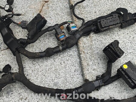 ФОТО Проводка двигателя для KIA Niro DE (16-22) Киев