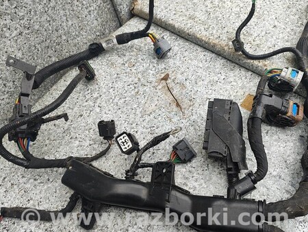 ФОТО Проводка двигателя для KIA Niro DE (16-22) Киев