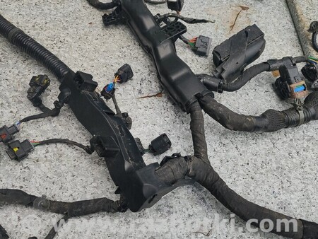 ФОТО Проводка двигателя для KIA Niro DE (16-22) Киев