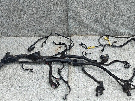 ФОТО Проводка двигуна для KIA Niro DE (16-22) Киев