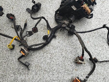 ФОТО Проводка двигуна для KIA Niro DE (16-22) Киев