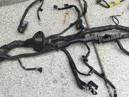 ФОТО Проводка двигуна для KIA Niro DE (16-22) Киев