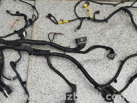 ФОТО Проводка двигуна для KIA Niro DE (16-22) Киев