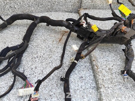ФОТО Проводка кузова салона для KIA Niro DE (16-22) Киев