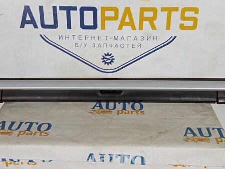 ФОТО Рейлінг даху лівий для KIA Carnival 2 (2006-2014) Київ