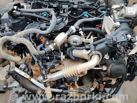 ФОТО Двигатель для Ford Transit Tourneo Courier І (2018-2023) Киев