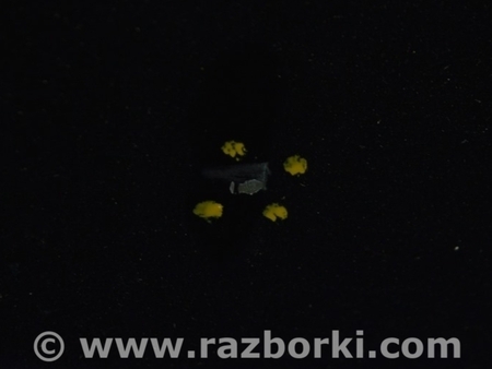 ФОТО Дверь передняя правая в сборе для BMW X3 F25 Одесса