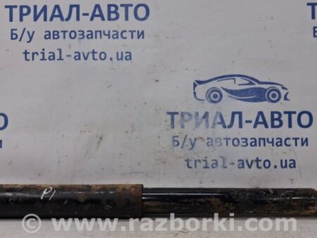 ФОТО Амортизатор задний для Nissan Navara D40 Киев