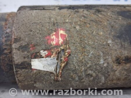 ФОТО Амортизатор задний для Nissan Pathfinder R51 Киев