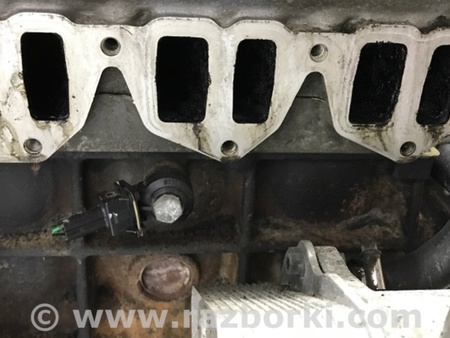 ФОТО Двигатель для SsangYong Rexton Київ