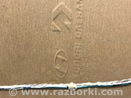 ФОТО Потолок для Hyundai Santa Fe CM (05-12) Київ