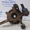 Цапфа задняя левая со ступицей Hyundai Tucson (04-10)