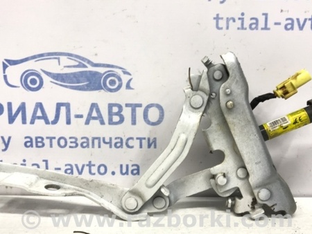 ФОТО Петля капота правая для Hyundai Tucson TL (15-20) Киев