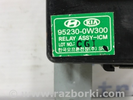 ФОТО Блок управления для Hyundai Santa Fe CM (05-12) Київ