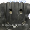 ФОТО Декоративная крышка ДВС для Hyundai Santa Fe CM (05-12) Киев