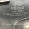 ФОТО Декоративная крышка ДВС для Hyundai Santa Fe CM (05-12) Киев