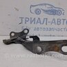 ФОТО Петля капота левая для Toyota Avensis T250 (02.2003-10.2009) Киев