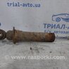 ФОТО Амортизатор задний для Toyota Avensis T250 (02.2003-10.2009) Киев
