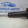 ФОТО Амортизатор передний левый для Porsche Cayenne Type 955/957 (05-10) Київ