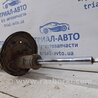 ФОТО Амортизатор задний для Hyundai Tucson (04-10) Киев