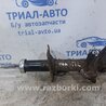 ФОТО Амортизатор передний левый для Nissan Tiida/Versa C11 Киев