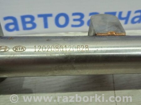 ФОТО Топливная рампа для Hyundai Sonata NF (09.2004-10.2010) Киев