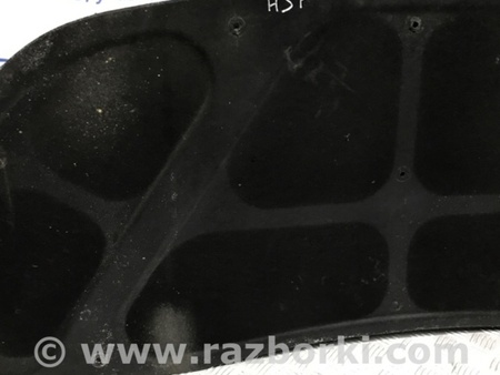 ФОТО Обшивка капота для Hyundai Santa Fe CM (05-12) Київ
