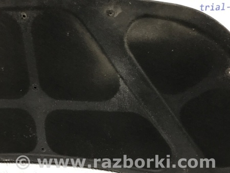ФОТО Обшивка капота для Hyundai Santa Fe CM (05-12) Київ
