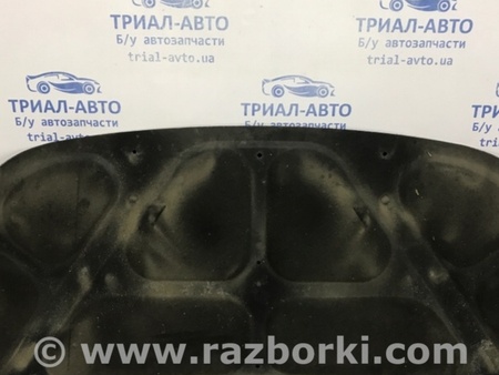 ФОТО Обшивка капота для Hyundai Santa Fe CM (05-12) Київ