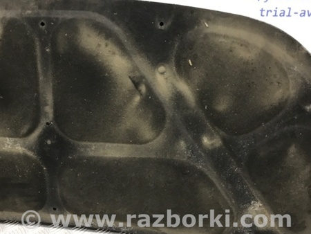 ФОТО Обшивка капота для Hyundai Santa Fe CM (05-12) Київ