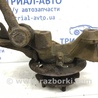 ФОТО Цапфа задняя левая со ступицей для Toyota RAV-4 (05-12) Київ