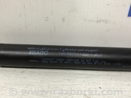 ФОТО Амортизатор капота для Toyota RAV-4 (05-12) Київ