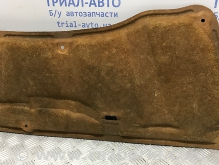 ФОТО Обшивка капота для Toyota RAV-4 (05-12) Київ