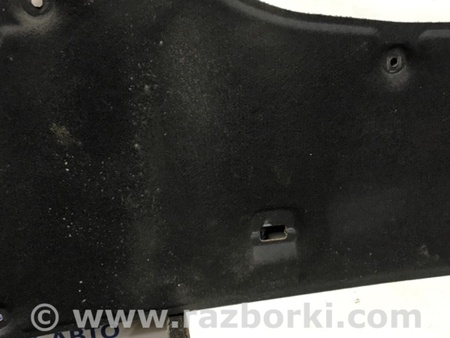 ФОТО Обшивка капота для Toyota RAV-4 (05-12) Київ