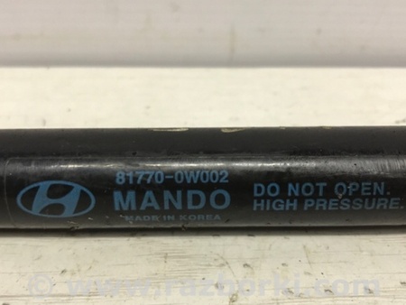 ФОТО Амортизатор крышки багажника для Hyundai Santa Fe CM (05-12) Київ