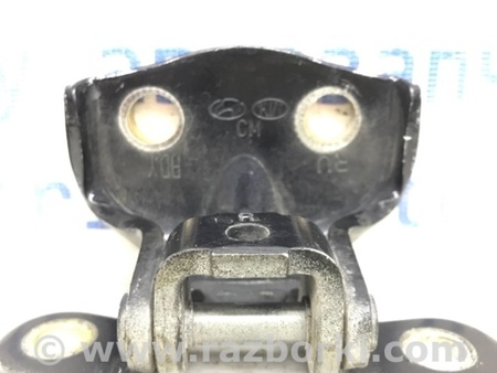 ФОТО Петля двери задней правой для Hyundai Santa Fe CM (05-12) Київ