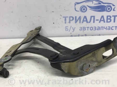 ФОТО Петля крышки багажника правая для Chevrolet Epica V250 (02.2006-01.2013) Київ
