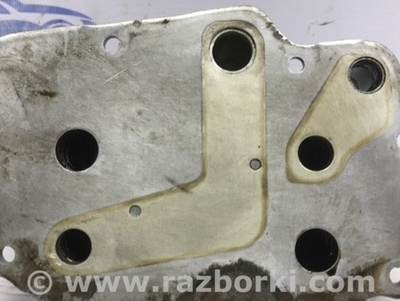 ФОТО Радиатор масляный ДВС (теплообменник) для SsangYong Korando Киев